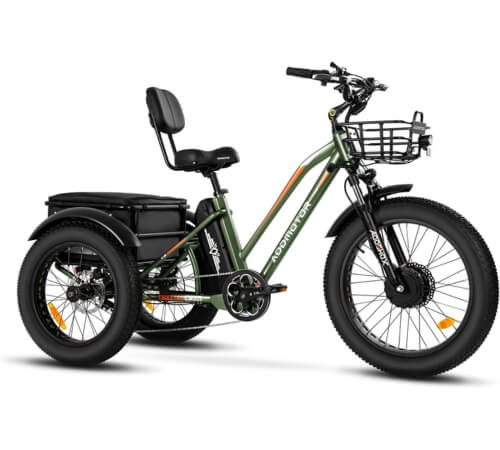 3-wheel electric bike