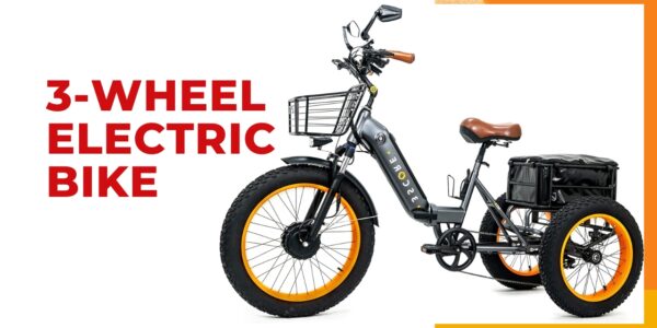 Best 3-Wheel Electric Bike