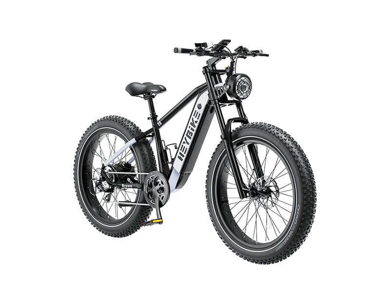 which electric bike is worth buying