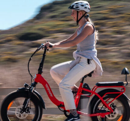 A Deep Dive into Tesway's Electric Bikes